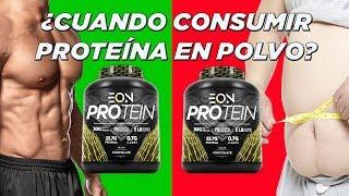 ¿DEBES TOMAR PROTEINA EN POLVO?