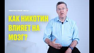 Никотин и мозг: механизм работы ацетилхолина, история никотина ( часть 1 , Вячеслав Дубынин)