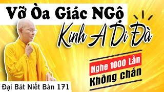 ĐẠI BÁT NIẾT BÀN kỳ 171 (Video) Vỡ Òa Giác Ngộ Kinh A Di Đà | HT Thích Từ Thông