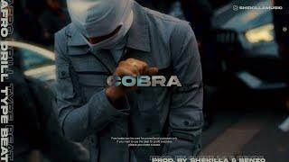 [SOLD] Ethnic/Oriental Drill Type Beat x Afro Drill Type Beat - COBRA