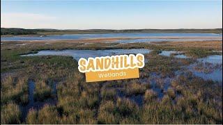 Sandhills Wetlands of Nebraska