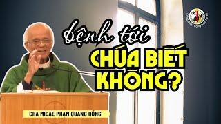 Bệnh tới, Chúa ơi Chúa biết không?  Bài giảng Cha Hồng 23/6/24