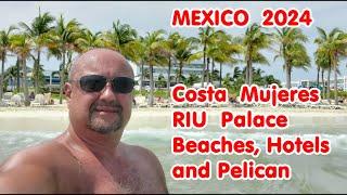 2024 MEXICO Costa Mujeres Beaches. ‍️ Hotels & Pelican.