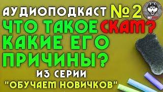 Аудиоподкаст №2 | Что такое скам? Какие его причины? | Из серии "Обучаем новичков" | #OnlyProfit