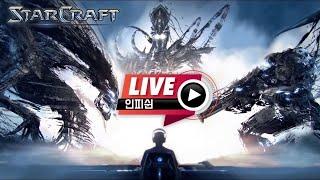 25.03.02(일) 【 인피쉰 생방송 다시보기 】 스타 빨무 스타크래프트 Starcraft