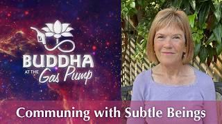 Subtle Beings and Their Role in Creation | Tanis Helliwell | Buddha at the Gas Pump Interview