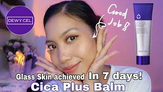 DEWYCEL Products Review | Korean Skincare | Cica Plus Balm, Filtering & Turn-on Cream | Belle Merto