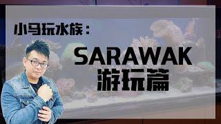 Sarawak游玩篇   |   小马玩水族   |   海王频道