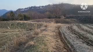 부여군 외산면 고찰 무량사3km 전장리 867평9천5백 농가주택추천