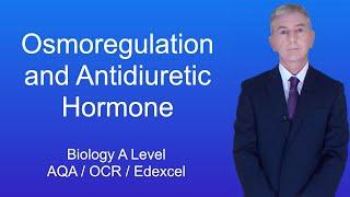 A Level Biology Revision (Year 13) "Osmoregulation and Antidiuretic Hormone (ADH)"