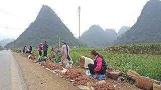 ลุยเวียดนาม(Vietnam) EP100:ตลาดข้างทางเผ่านุง(Những)  เว่าจาสำเนียงภาคใต้ไทย ภูเขางามหลาย