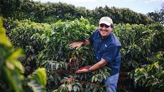 Starbucks: Ensuring the Future of Coffee for All