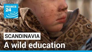 Scandinavia: 'Forest Kindergartens’, a wild education • FRANCE 24 English