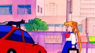 Sailor Moon - Usagi meets Luna #1