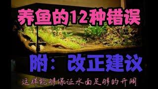 养鱼新手常犯的12种错误，附改正建议，再不会把金鱼观赏鱼养死