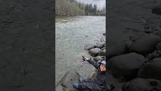 Steelhead River Fishing  #PNW #RiverFishing #SalmonFishing