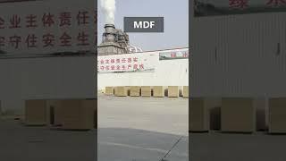 Pintree Group MDF Factory