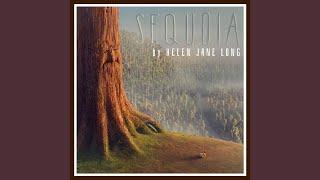 Sequoia