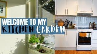 MY KITCHEN GARDEN TOUR | NEW WORKSTATION AND HOME DECORS |ORGANIZING MY HOME SLOWLY