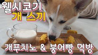 Welshcorgi Skki puppuccino & Goldfish Waffles Mukbang