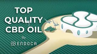 Top Quality CBD Oil by Endoca