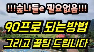 자연휴양림 예약방법 국립자연휴얌림예약하기 주말예약 다성공하세요(다른방법 꿀팁드림)