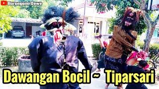 Dawangan Bocil Tiparsari