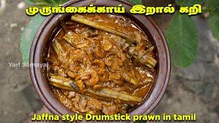 பொரிச்சு வச்ச முருங்கைக்காய் இறால் கறி | Jaffna style fried drumstick prawns curry in Tamil