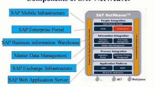 SAP BASIS TUTORIAL [DAY 1] PART 10