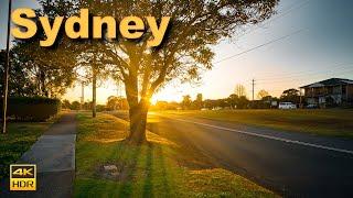 Sydney Australia Walking Tour - Sunrise in a Peaceful Suburb | 4K HDR