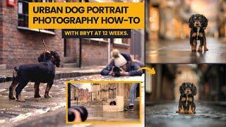 Urban Puppy Photoshoot in my hometown! | City Dog Photography How-To