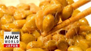 FANTASTIC FERMENTATION!: Natto Variety - Dig More Japan