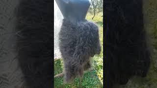 Пуховый ПЛАТОК ЛОХМАТЫЙ ЭКСКЛЮЗИВ #1тел 89608709467