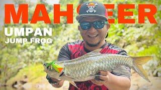 AGAK LAEN ‼️ MANCING IKAN MAHSEER UMPAN JUMP FROG DI PEDALAMAN KAPUAS HULU