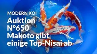 Konishi Koi News - Alle Koi aus Auktion No. 650 im Detail erklärt