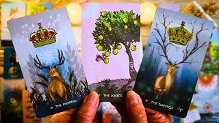 SOMEONE IS MAKING A PLAN TO COME TO YOU!! ️ LOVE TAROT READING