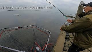 Building a fishing rod and catching a giant.