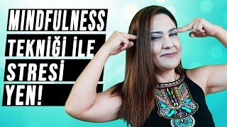 MINDFULNESS TEKNİĞİ İLE STRESİ YEN ( Meditasyon Uygulaması ile Birlikte)