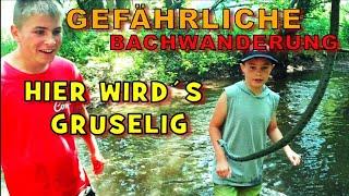 Gruselige Bachwanderung! Wir fangen eine Wasserschlange!