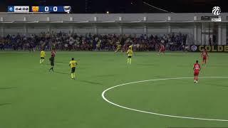 PFL Season 2024-2025 - Manila Digger vs. Dynamic Herb Cebu