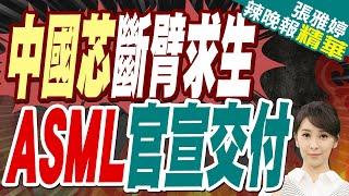 蔡正元:梁孟松早準備好! 荷蘭官宣向中國出售60台光刻機!"中國芯"逆轉勝? | 中國芯斷臂求生 ASML官宣交付【張雅婷辣晚報】精華版@中天新聞CtiNews