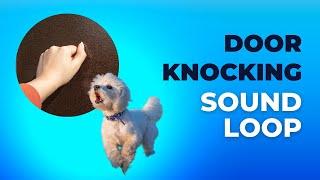 Door Knocking Sounds  - Desensitizing Sound for Puppies and Dogs