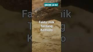 Fakta unik Komodo SI KADAL TERBESAR DIDUNIA  | Fact - 54 #faktaunik #komodo #shorts