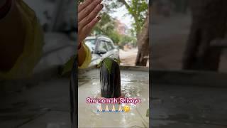 Shiv Stuti #shiv #shankar #bholenath #mahadev #shambhu #love #bhakti #pooja #youtubeshorts #trending
