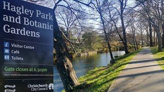 Hagley Park / Walking in Christchurch, New Zealand #Shorts