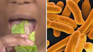 Here's how serious E. coli can be