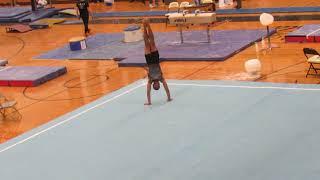 Adam Hein - Floor Exercise - 2018 Midwest Open