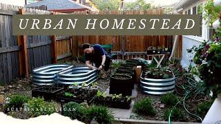 Turning a parking space into an urban homestead