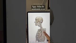 La mejor app para ANATOMÍA | Studiescah