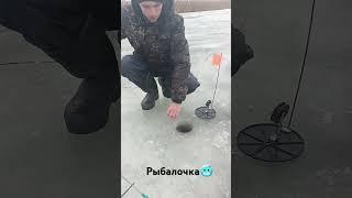 Шука #рыбалка #жерлицы #fishing #щука #карп #лёд #carpfishing #рыба #озеро #fish